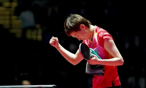 王曼昱4-0横扫张本美和，乒乓球场上的精彩对决