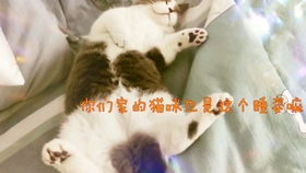 单依纯的疲惫时刻，又困了