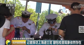 上海迪士尼游客冲突事件，警方通报与后续处理